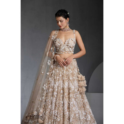 CHAASHNI BY MAANSI & KETAN Nude Embellished Net Lehenga with Choli and Dupatta (Set of 3)
