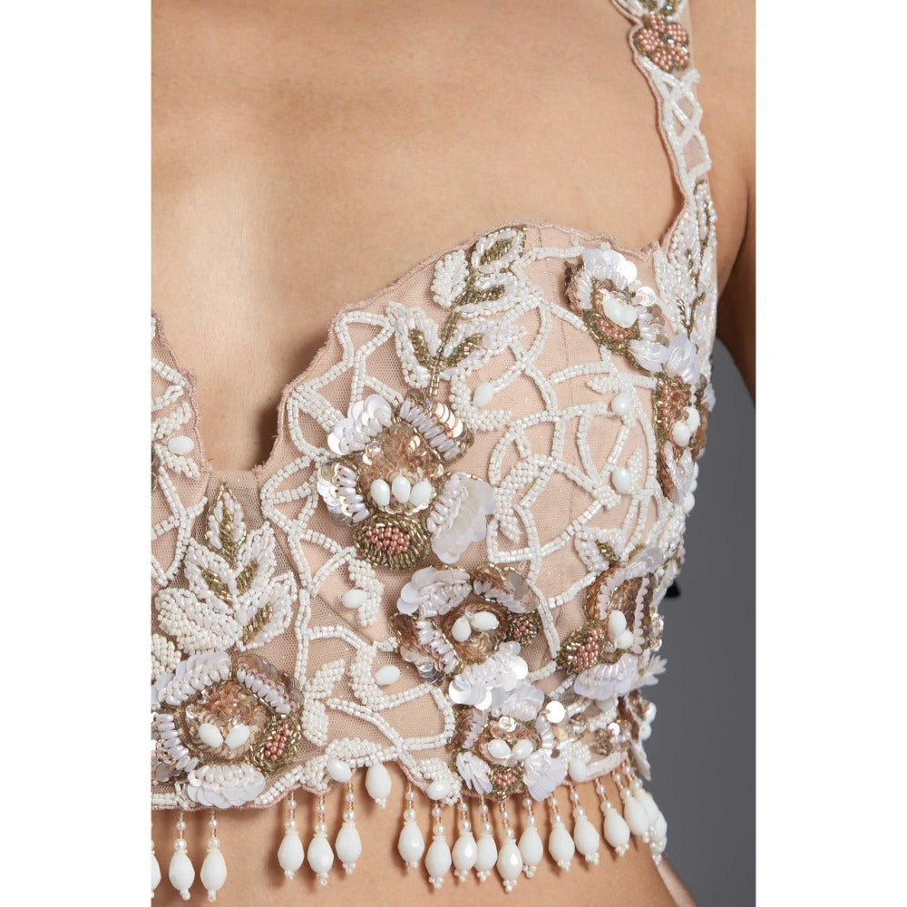 CHAASHNI BY MAANSI & KETAN Nude Embellished Net Lehenga with Choli and Dupatta (Set of 3)