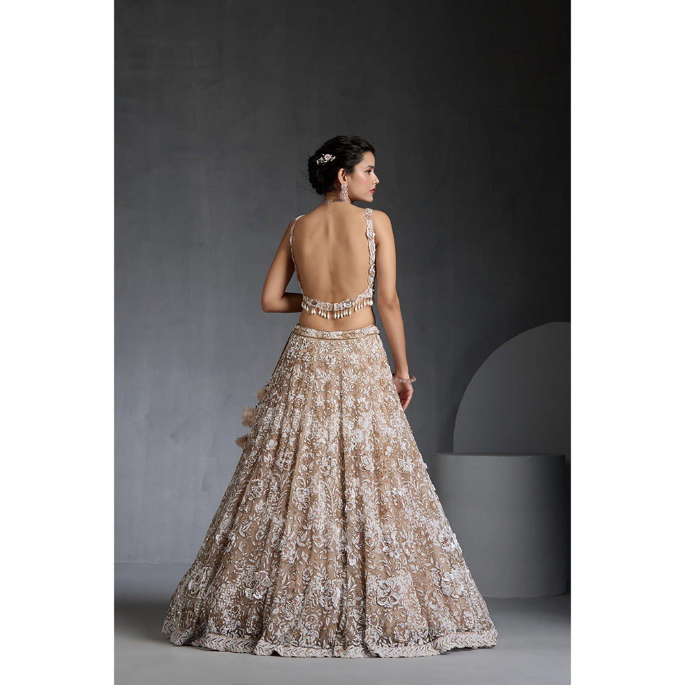 CHAASHNI BY MAANSI & KETAN Nude Embellished Net Lehenga with Choli and Dupatta (Set of 3)