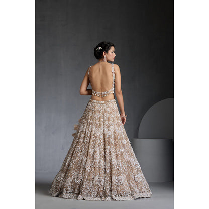 CHAASHNI BY MAANSI & KETAN Nude Embellished Net Lehenga with Choli and Dupatta (Set of 3)