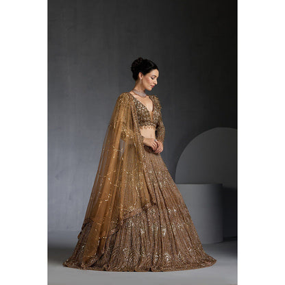 CHAASHNI BY MAANSI & KETAN Gold Embellished Net Lehenga with Choli and Dupatta (Set of 3)