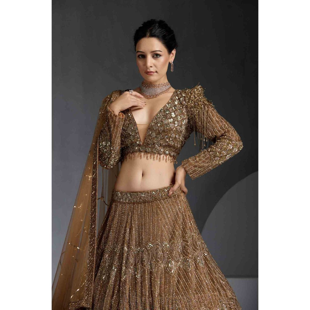 CHAASHNI BY MAANSI & KETAN Gold Embellished Net Lehenga with Choli and Dupatta (Set of 3)