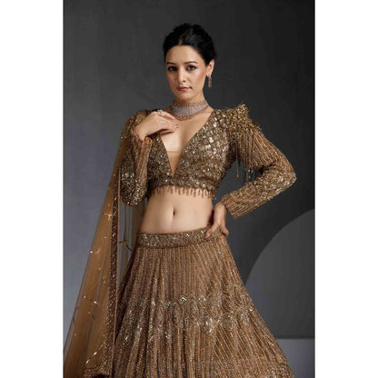 CHAASHNI BY MAANSI & KETAN Gold Embellished Net Lehenga with Choli and Dupatta (Set of 3)