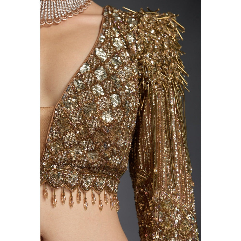 CHAASHNI BY MAANSI & KETAN Gold Embellished Net Lehenga with Choli and Dupatta (Set of 3)