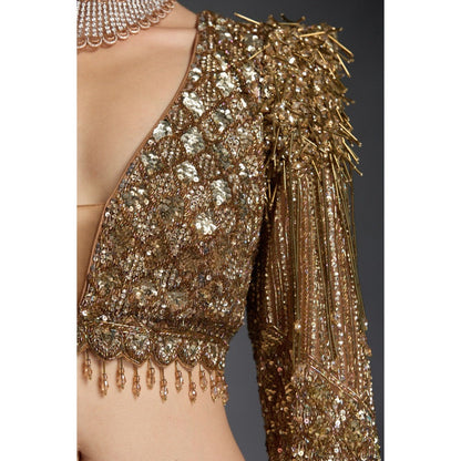 CHAASHNI BY MAANSI & KETAN Gold Embellished Net Lehenga with Choli and Dupatta (Set of 3)