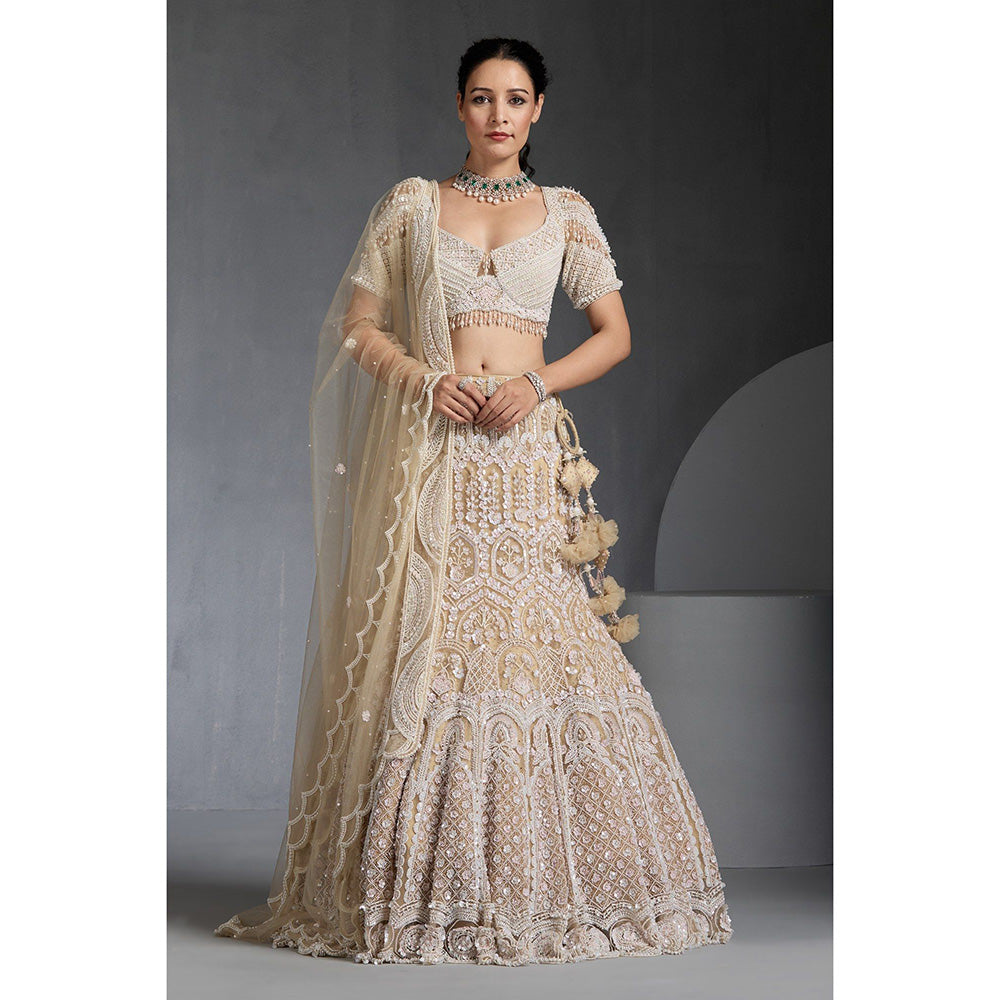 CHAASHNI BY MAANSI & KETAN Ivory Embellished Net Lehenga with Choli and Dupatta (Set of 3)