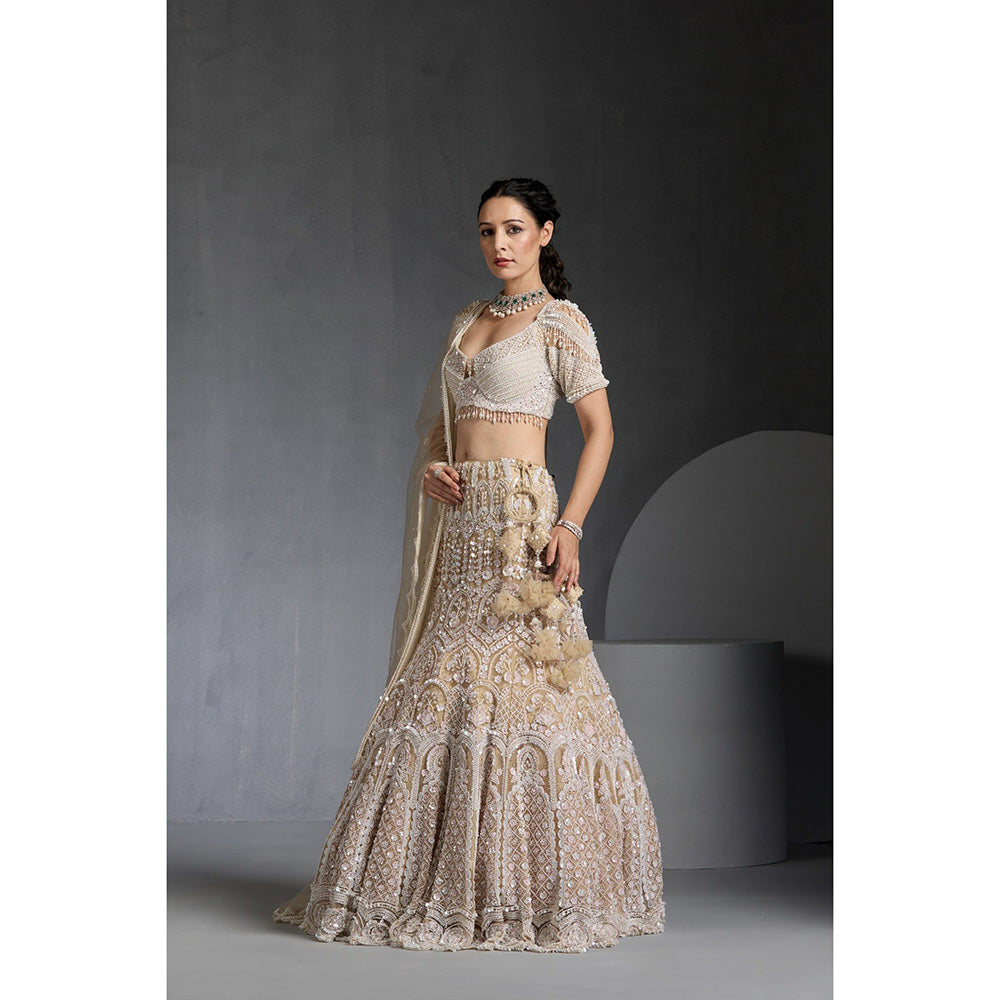 CHAASHNI BY MAANSI & KETAN Ivory Embellished Net Lehenga with Choli and Dupatta (Set of 3)