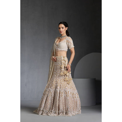 CHAASHNI BY MAANSI & KETAN Ivory Embellished Net Lehenga with Choli and Dupatta (Set of 3)