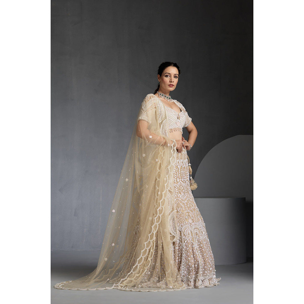 CHAASHNI BY MAANSI & KETAN Ivory Embellished Net Lehenga with Choli and Dupatta (Set of 3)