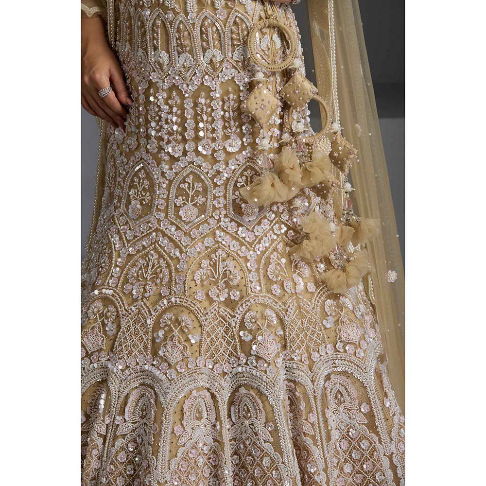 CHAASHNI BY MAANSI & KETAN Ivory Embellished Net Lehenga with Choli and Dupatta (Set of 3)