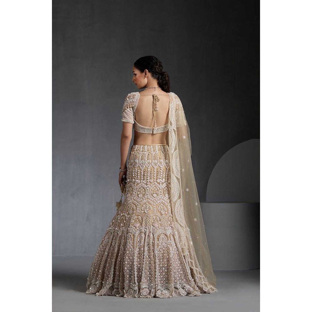 CHAASHNI BY MAANSI & KETAN Ivory Embellished Net Lehenga with Choli and Dupatta (Set of 3)