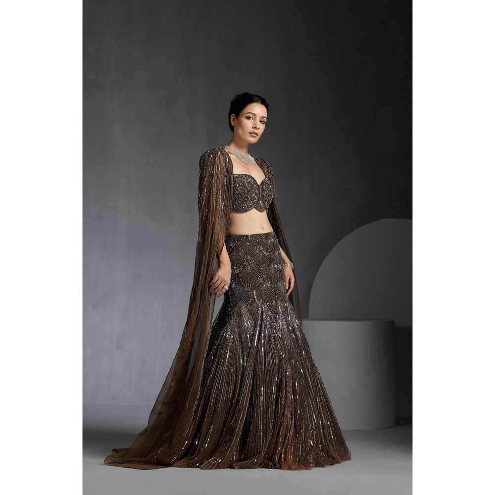 CHAASHNI BY MAANSI & KETAN Brown Embellished Net Lehenga with Choli and Dupatta (Set of 3)