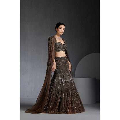 CHAASHNI BY MAANSI & KETAN Brown Embellished Net Lehenga with Choli and Dupatta (Set of 3)