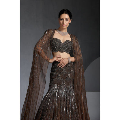 CHAASHNI BY MAANSI & KETAN Brown Embellished Net Lehenga with Choli and Dupatta (Set of 3)