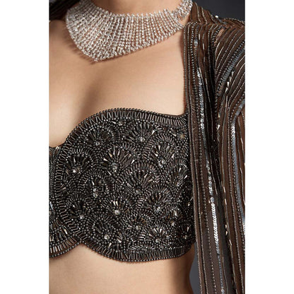 CHAASHNI BY MAANSI & KETAN Brown Embellished Net Lehenga with Choli and Dupatta (Set of 3)