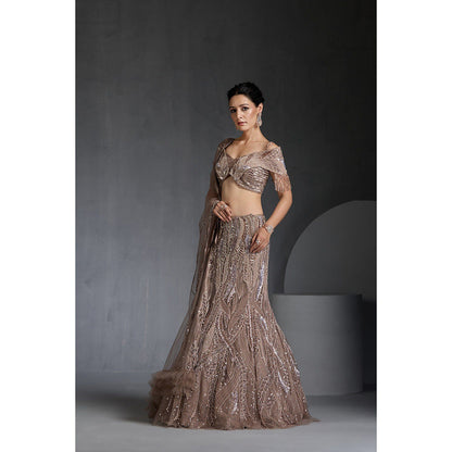 CHAASHNI BY MAANSI & KETAN Nude Embellished Net Lehenga with Choli and Dupatta (Set of 3)