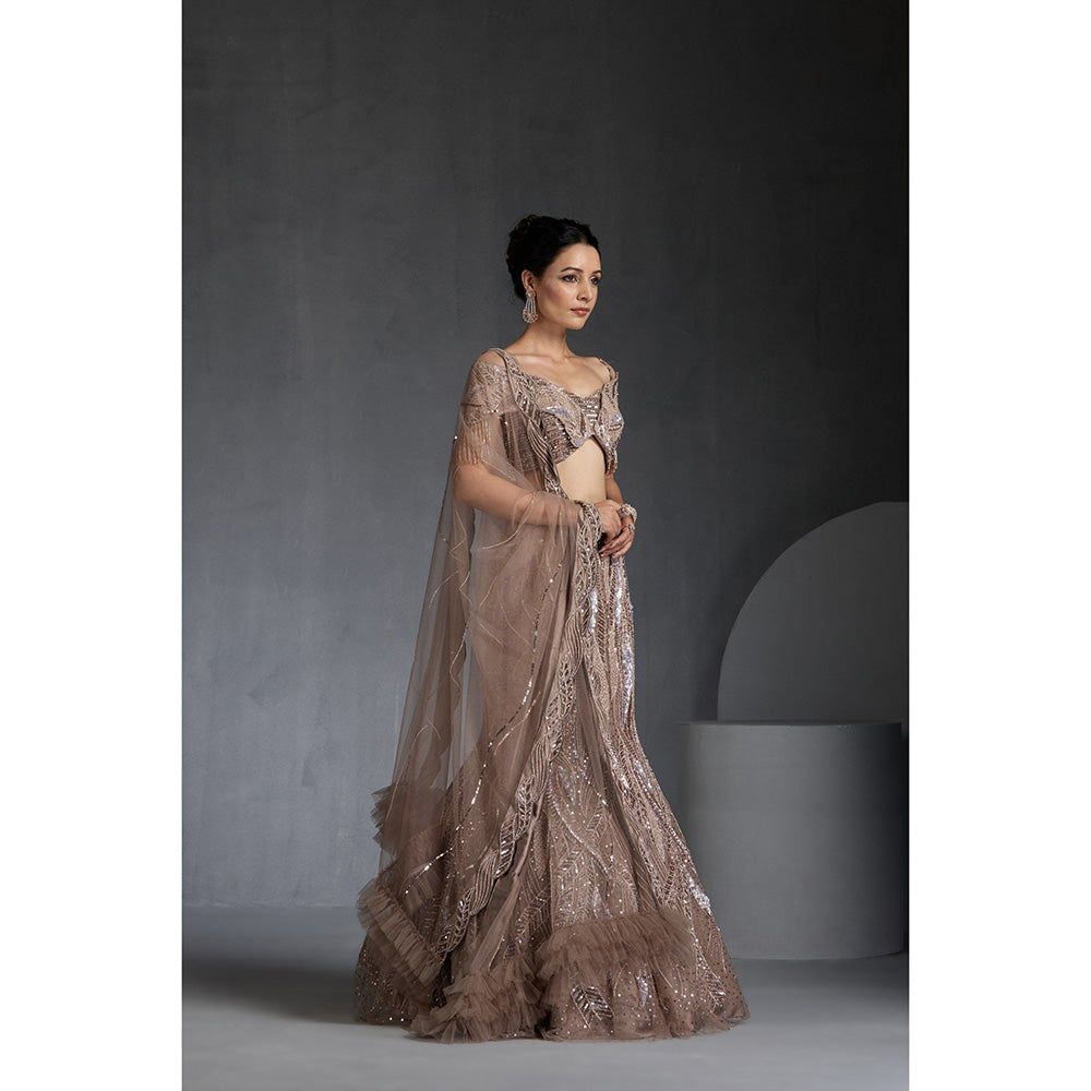 CHAASHNI BY MAANSI & KETAN Nude Embellished Net Lehenga with Choli and Dupatta (Set of 3)