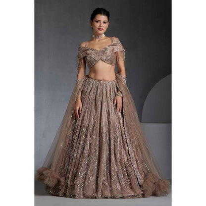 CHAASHNI BY MAANSI & KETAN Beige Embellished Net Lehenga with Choli and Dupatta (Set of 3)