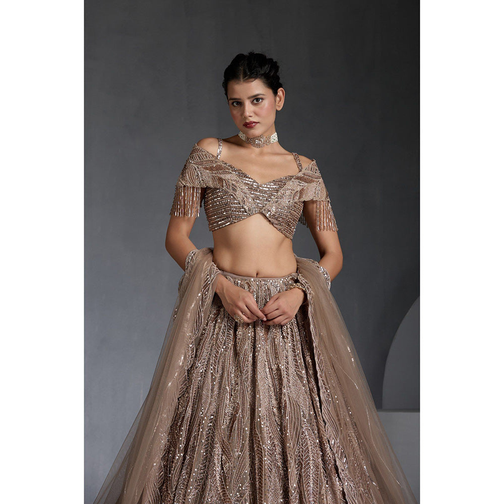CHAASHNI BY MAANSI & KETAN Beige Embellished Net Lehenga with Choli and Dupatta (Set of 3)