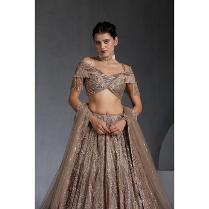 CHAASHNI BY MAANSI & KETAN Beige Embellished Net Lehenga with Choli and Dupatta (Set of 3)