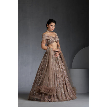 CHAASHNI BY MAANSI & KETAN Beige Embellished Net Lehenga with Choli and Dupatta (Set of 3)