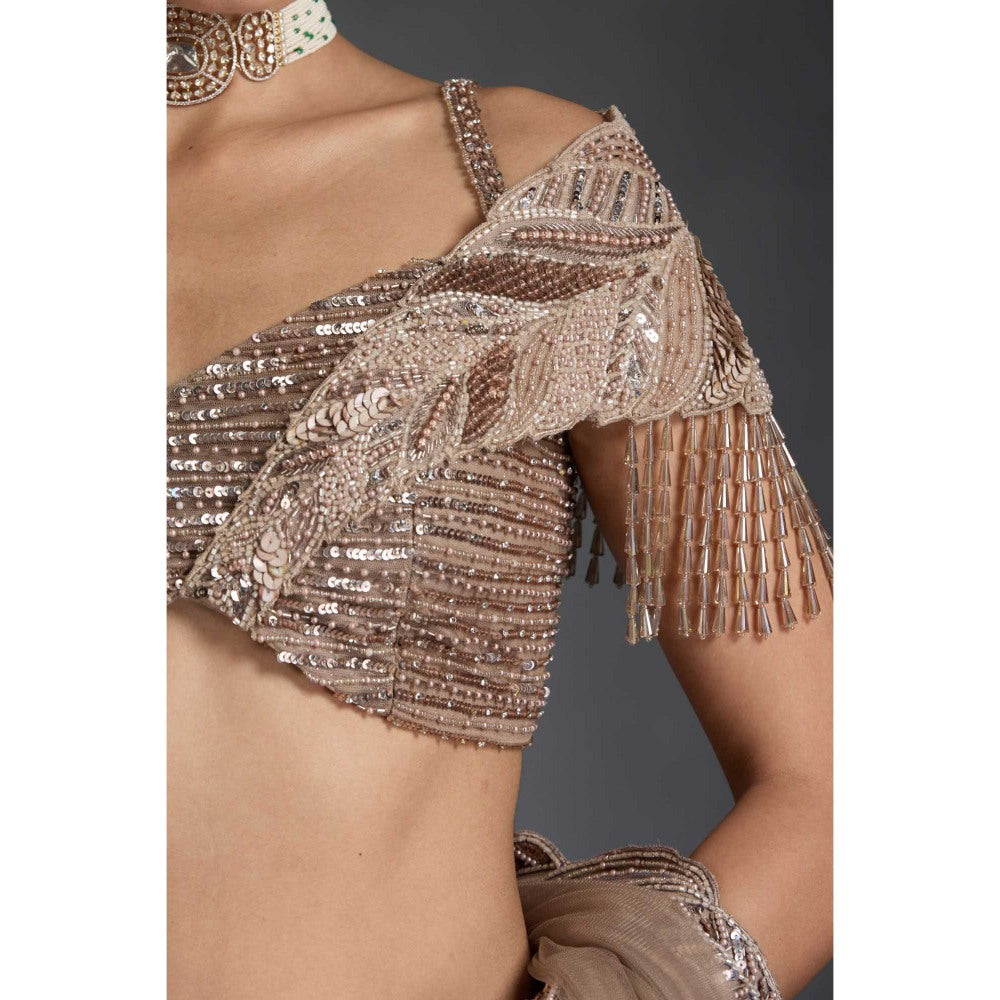 CHAASHNI BY MAANSI & KETAN Beige Embellished Net Lehenga with Choli and Dupatta (Set of 3)