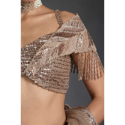 CHAASHNI BY MAANSI & KETAN Beige Embellished Net Lehenga with Choli and Dupatta (Set of 3)