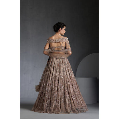 CHAASHNI BY MAANSI & KETAN Beige Embellished Net Lehenga with Choli and Dupatta (Set of 3)