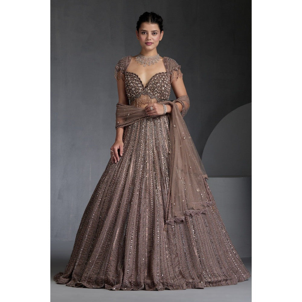CHAASHNI BY MAANSI & KETAN Beige Embellished Net Lehenga with Choli and Dupatta (Set of 3)