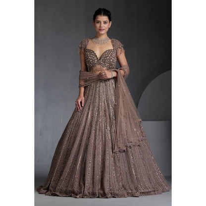 CHAASHNI BY MAANSI & KETAN Beige Embellished Net Lehenga with Choli and Dupatta (Set of 3)