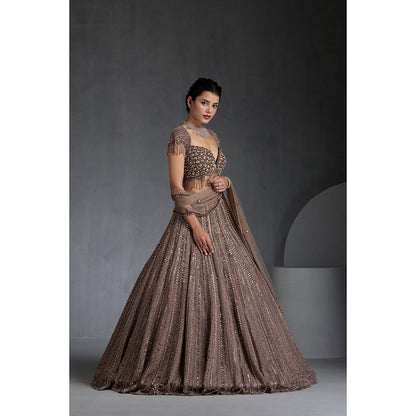 CHAASHNI BY MAANSI & KETAN Beige Embellished Net Lehenga with Choli and Dupatta (Set of 3)