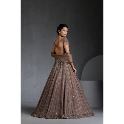 CHAASHNI BY MAANSI & KETAN Beige Embellished Net Lehenga with Choli and Dupatta (Set of 3)