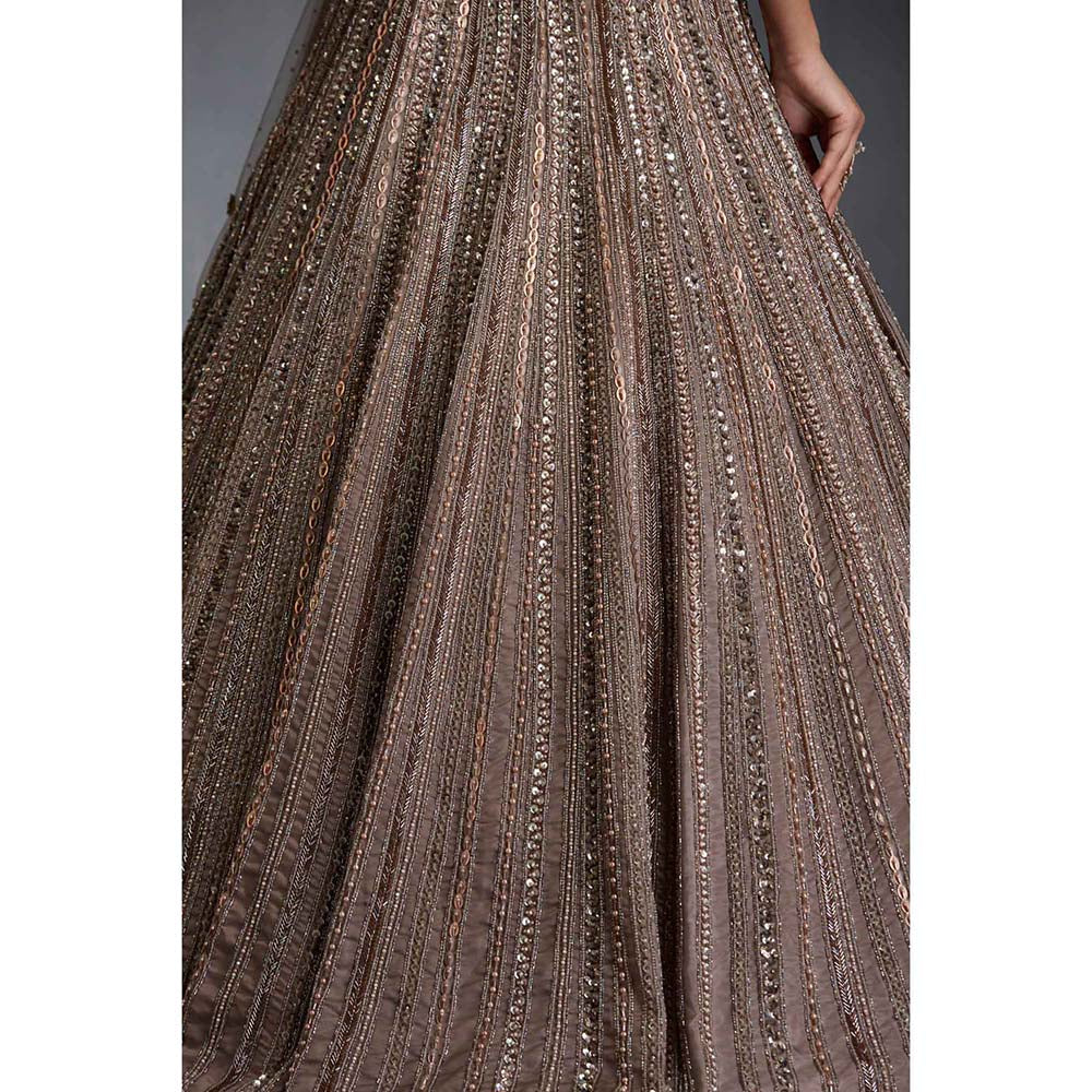 CHAASHNI BY MAANSI & KETAN Beige Embellished Net Lehenga with Choli and Dupatta (Set of 3)