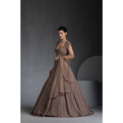 CHAASHNI BY MAANSI & KETAN Beige Embellished Net Lehenga with Choli and Dupatta (Set of 3)