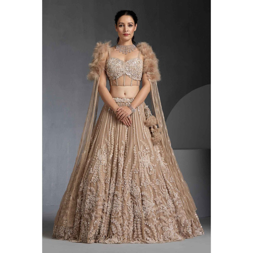 CHAASHNI BY MAANSI & KETAN Nude Embellished Net Lehenga with Choli and Dupatta (Set of 3)