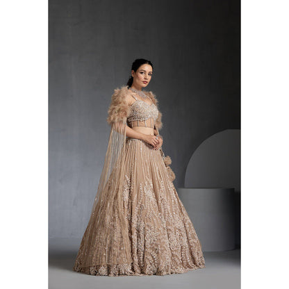 CHAASHNI BY MAANSI & KETAN Nude Embellished Net Lehenga with Choli and Dupatta (Set of 3)