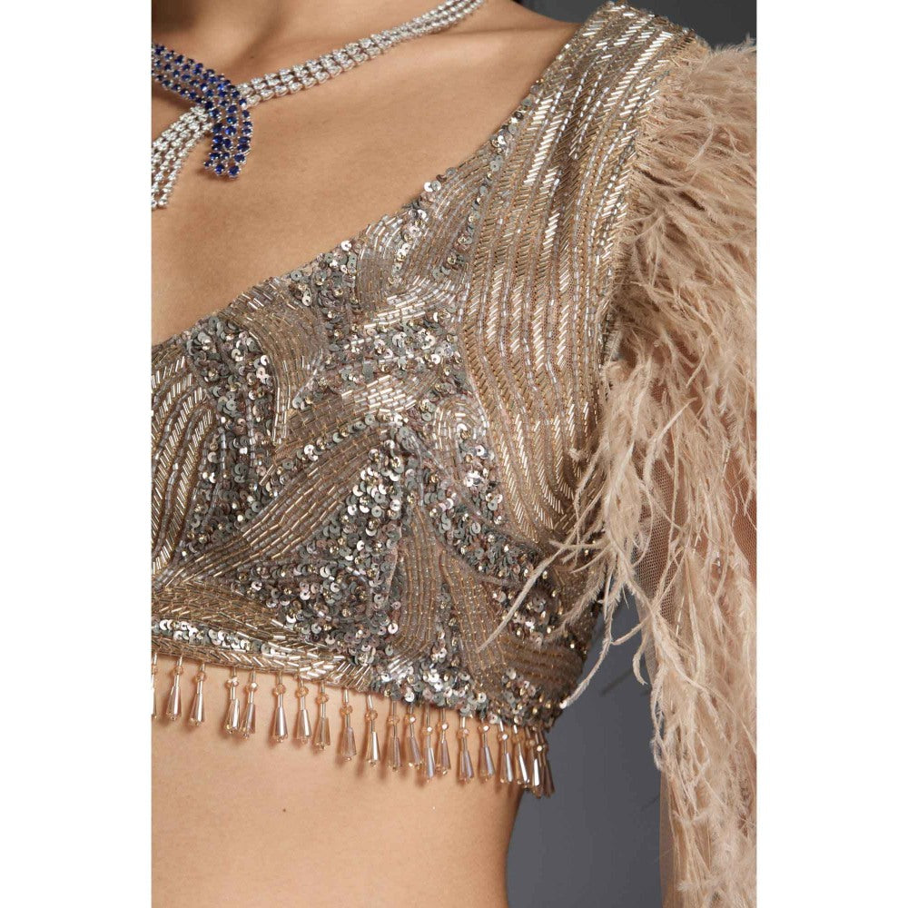 CHAASHNI BY MAANSI & KETAN Nude Embellished Net Lehenga with Choli (Set of 2)