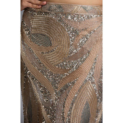 CHAASHNI BY MAANSI & KETAN Nude Embellished Net Lehenga with Choli (Set of 2)