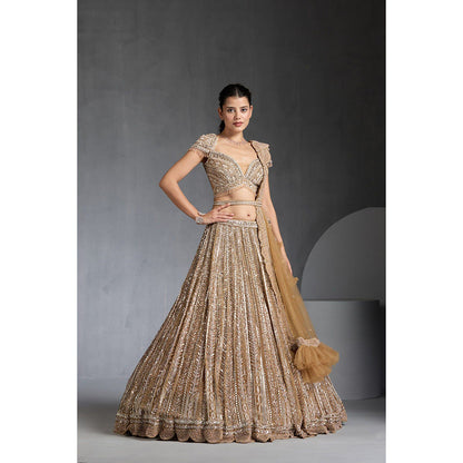 CHAASHNI BY MAANSI & KETAN Gold Lehenga with Choli, Dupatta and Belt (Set of 4)
