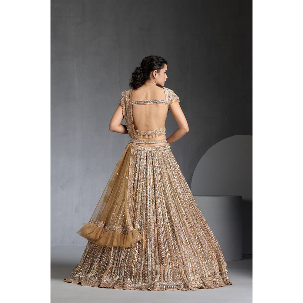 CHAASHNI BY MAANSI & KETAN Gold Lehenga with Choli, Dupatta and Belt (Set of 4)