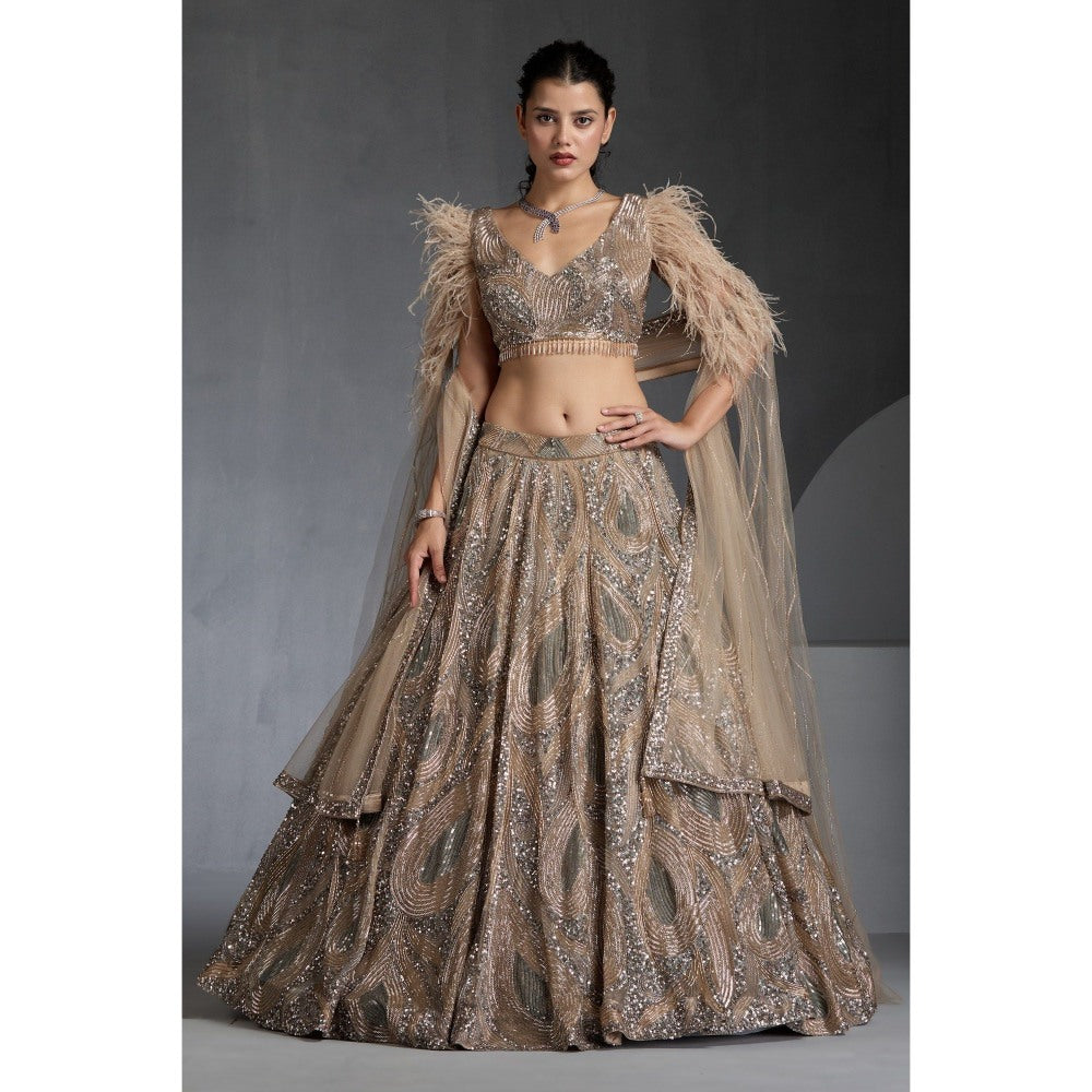 CHAASHNI BY MAANSI & KETAN Nude Embellished Net Lehenga with Choli and Dupatta (Set of 3)