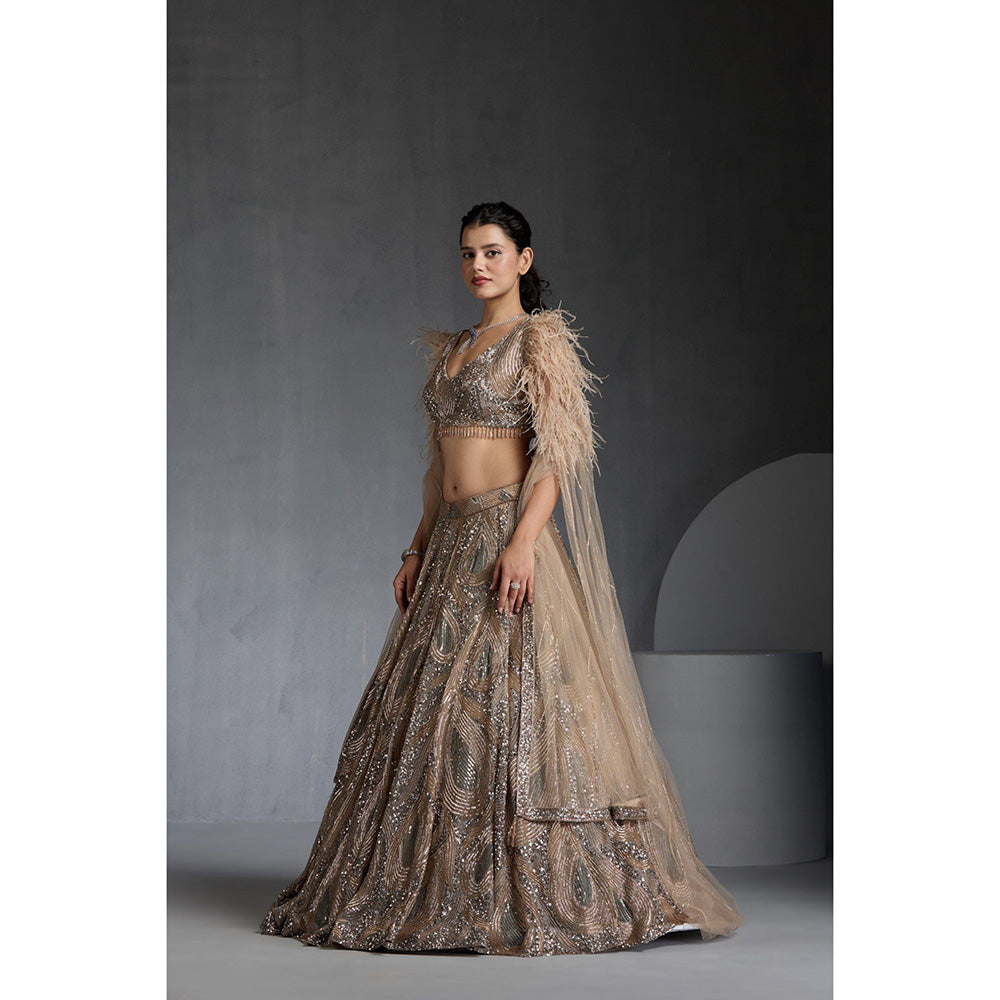 CHAASHNI BY MAANSI & KETAN Nude Embellished Net Lehenga with Choli and Dupatta (Set of 3)