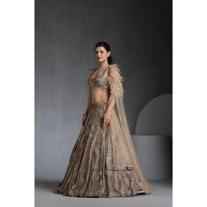 CHAASHNI BY MAANSI & KETAN Nude Embellished Net Lehenga with Choli and Dupatta (Set of 3)