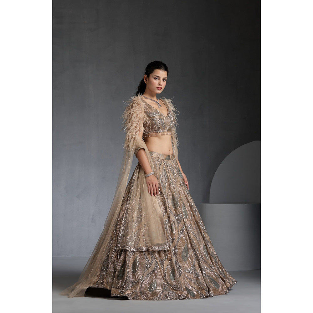 CHAASHNI BY MAANSI & KETAN Nude Embellished Net Lehenga with Choli and Dupatta (Set of 3)
