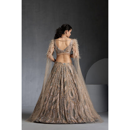 CHAASHNI BY MAANSI & KETAN Nude Embellished Net Lehenga with Choli and Dupatta (Set of 3)