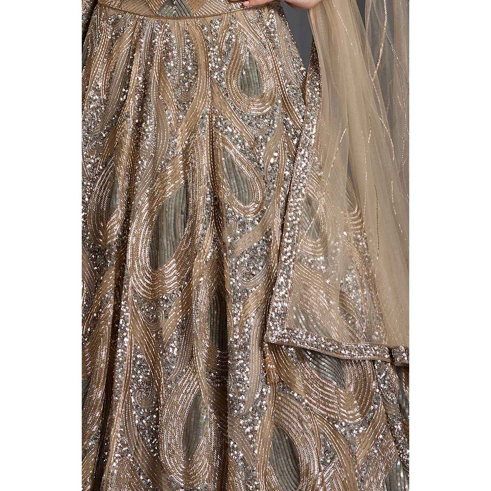 CHAASHNI BY MAANSI & KETAN Nude Embellished Net Lehenga with Choli and Dupatta (Set of 3)