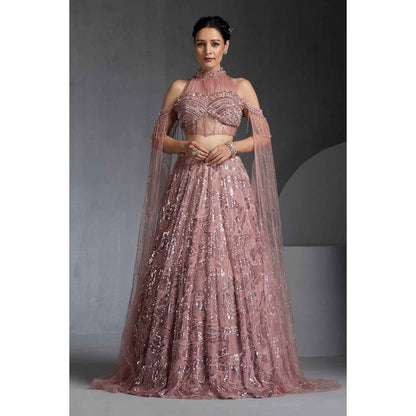 CHAASHNI BY MAANSI & KETAN Pink Embellished Net Lehenga with Choli and Dupatta (Set of 2)
