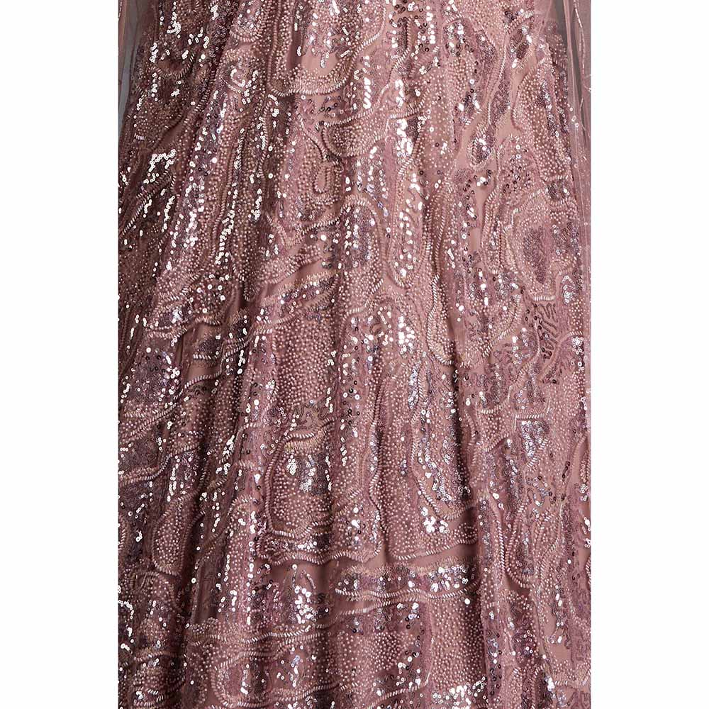 CHAASHNI BY MAANSI & KETAN Pink Embellished Net Lehenga with Choli and Dupatta (Set of 2)