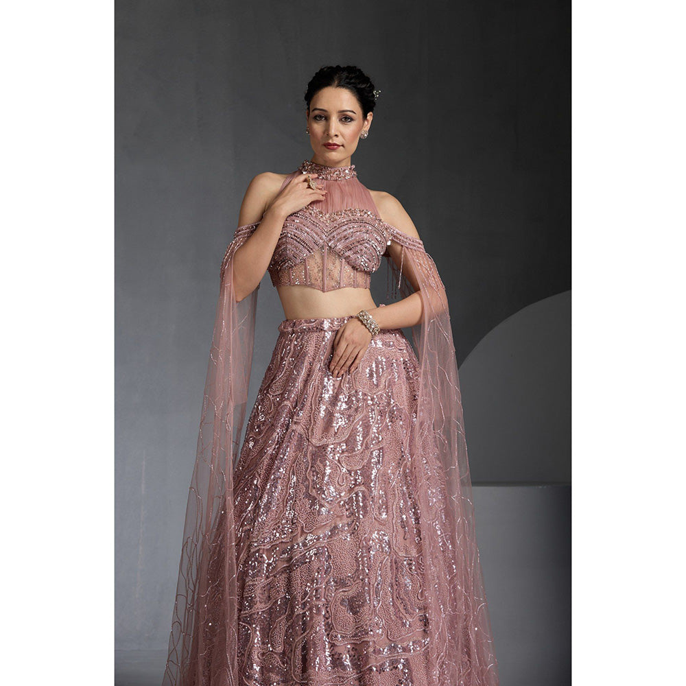 CHAASHNI BY MAANSI & KETAN Pink Embellished Net Lehenga with Choli and Dupatta (Set of 2)
