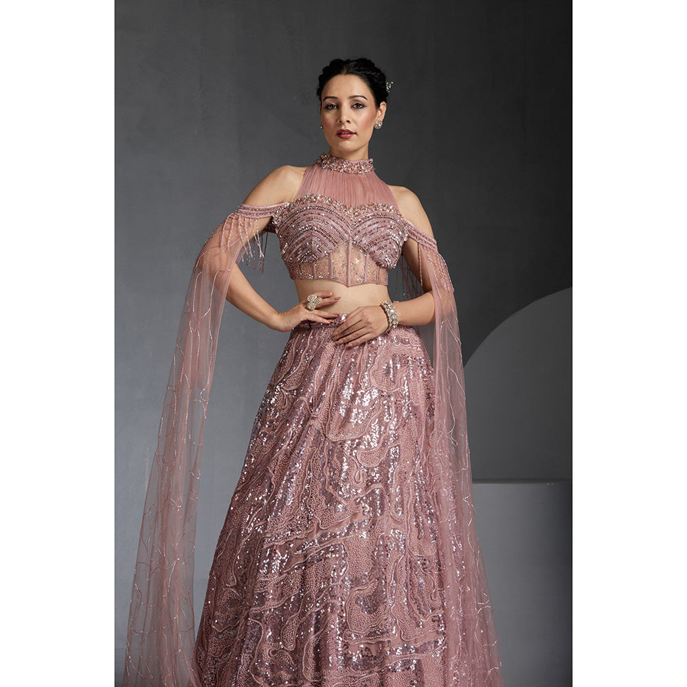 CHAASHNI BY MAANSI & KETAN Pink Embellished Net Lehenga with Choli and Dupatta (Set of 2)